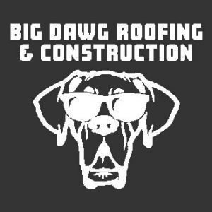 Big Dawg Roofing & Construction